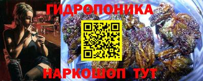 PSILOCYBIN Кулебаки