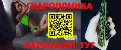 PSILOCYBIN Кулебаки