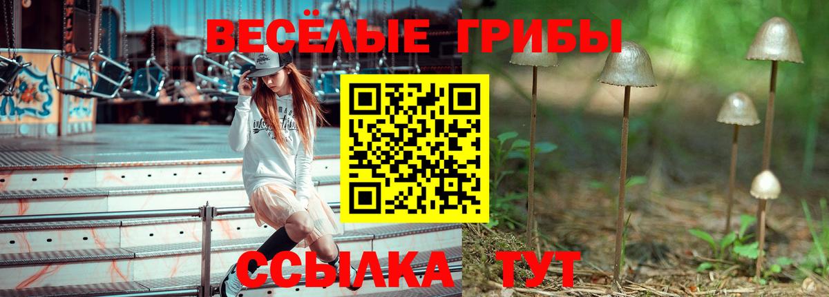 Галлюциногенные грибы MAGIC MUSHROOMS  Вход с VPN  сколько стоит  Кохма 